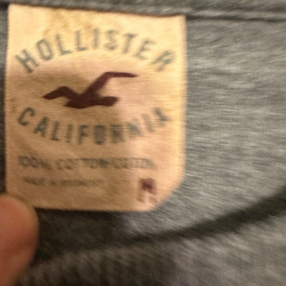 Hollister Gray Long Sleeve Tee with Palm Tree Design - Picture 3 of 4
